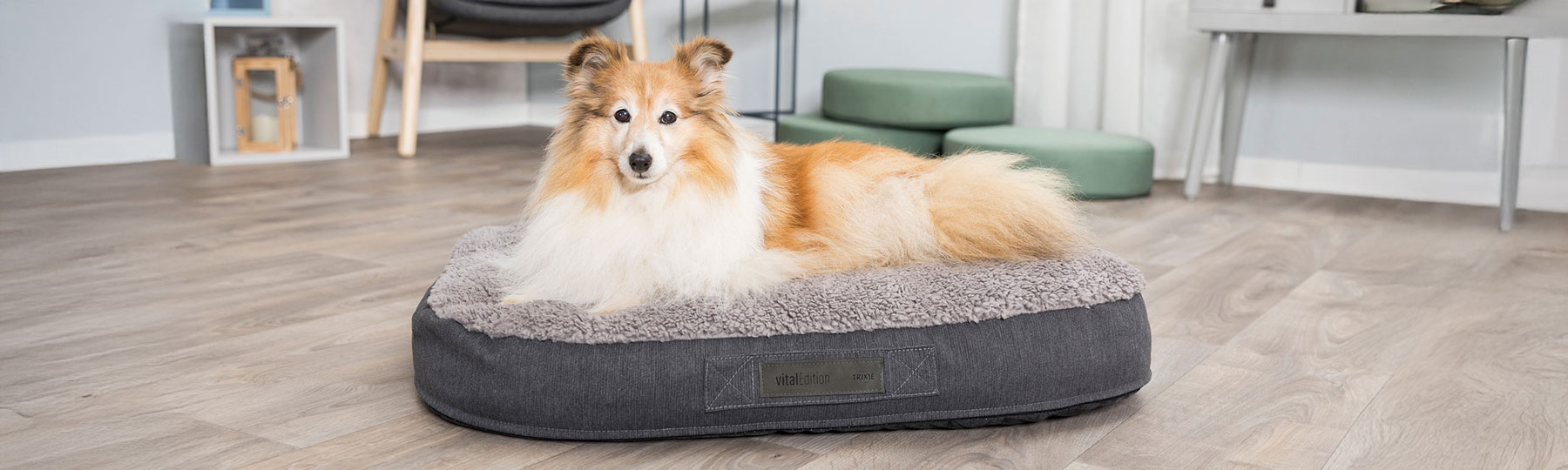 Hundb&auml;ddar och hunddynor