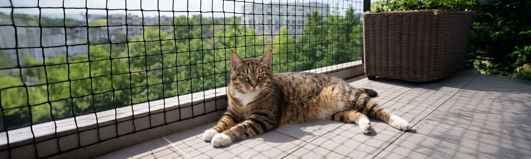 Balkongnät till katt Balkongnät till katt