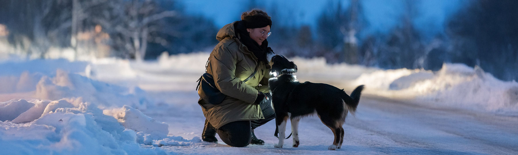 Reflexlampa till Hund