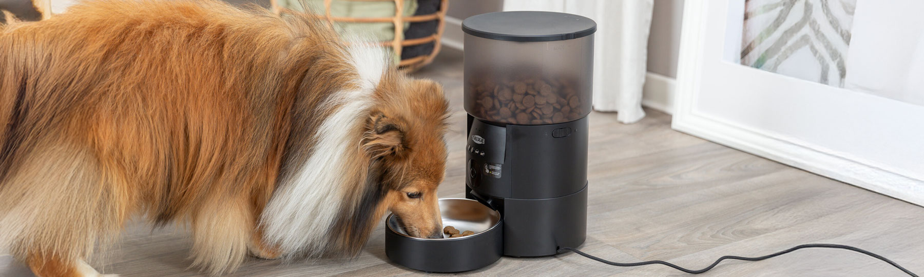 Foderautomater för hund Foderautomater för hund