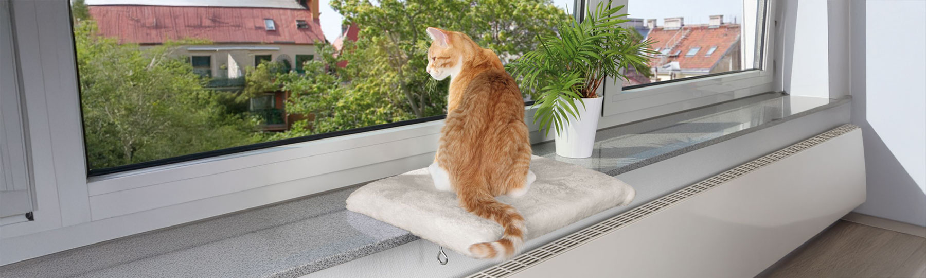 Kattb&auml;dd till f&ouml;nsterbr&auml;da