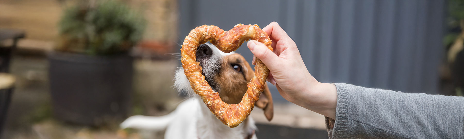 Hundgodis & Hundtugg Hundgodis & Hundtugg