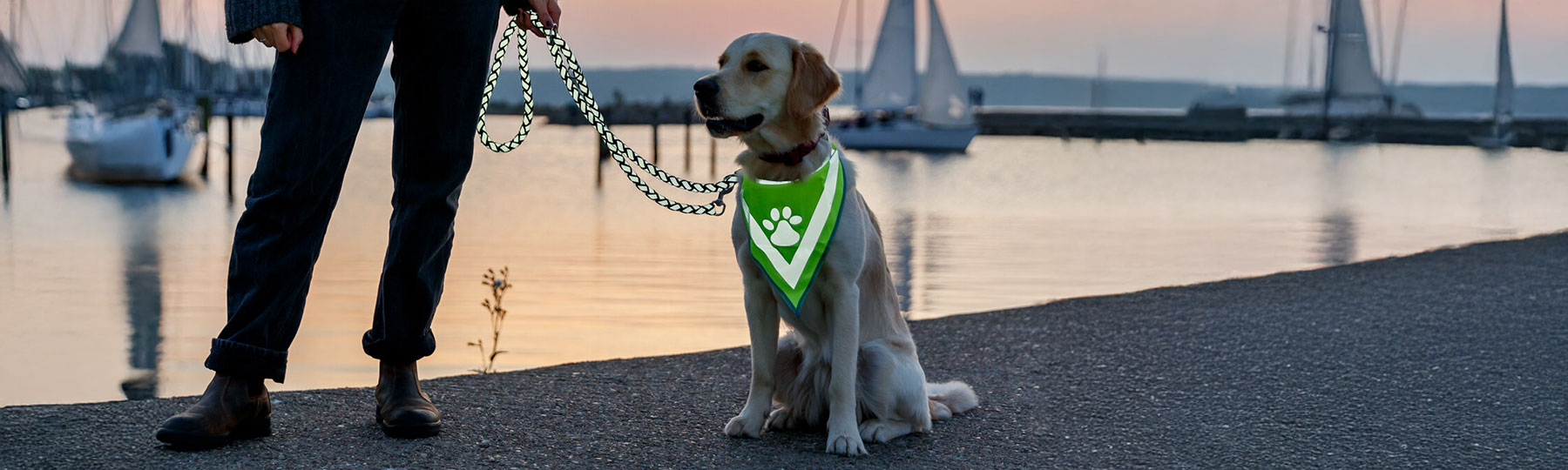 Accessoarer till Hund