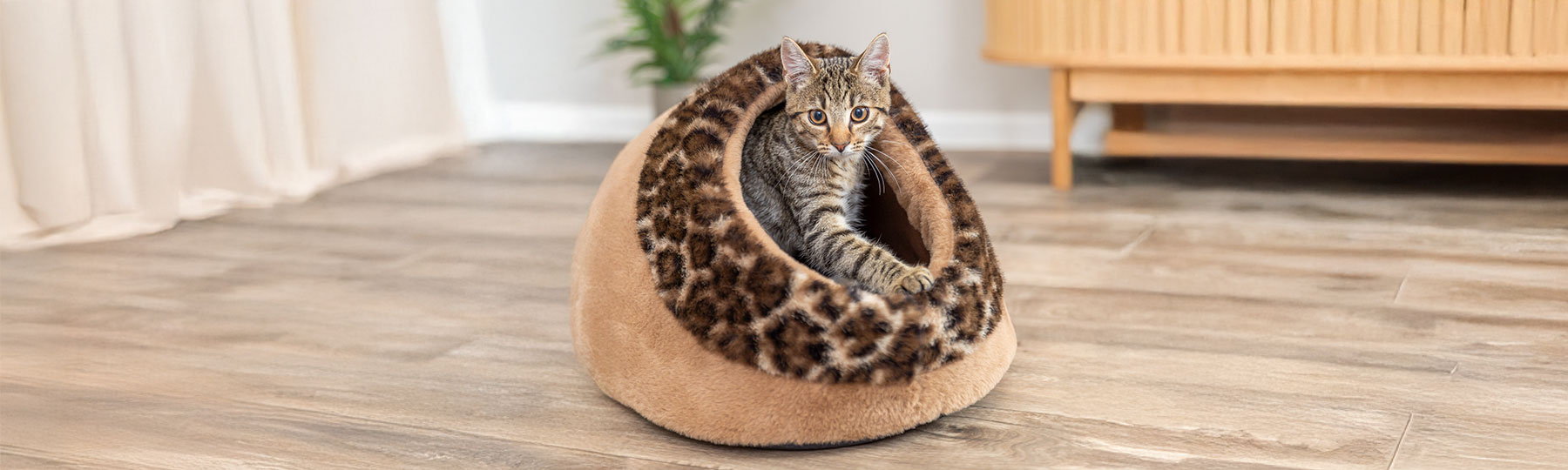 Kattigloo