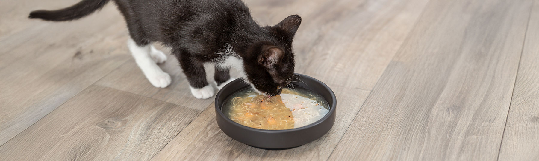 Mjukt kattfoder Mjukt kattfoder