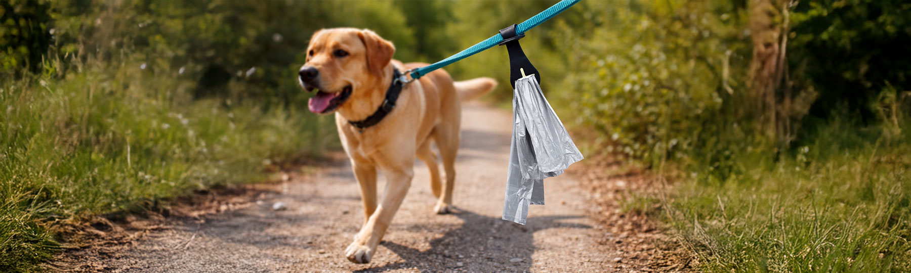 Accessoarer till hundkoppel