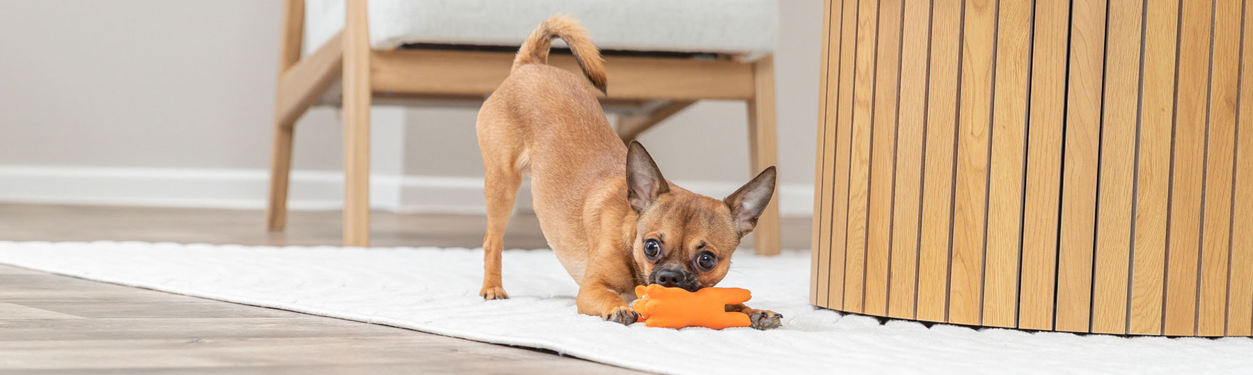 Latexleksaker med pip