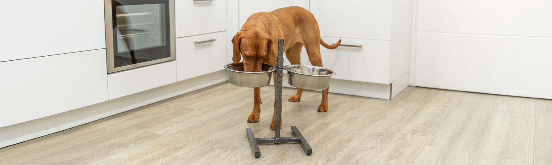 Matbar f&ouml;r hund