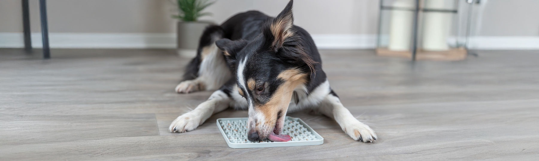 Slickmattor & Slowfeeder f&ouml;r hund