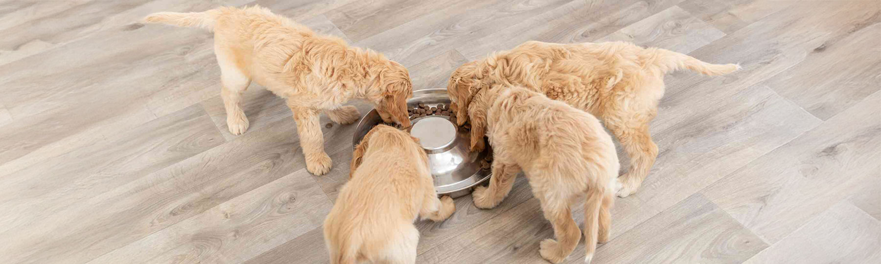 Matsk&aring;l till valpar