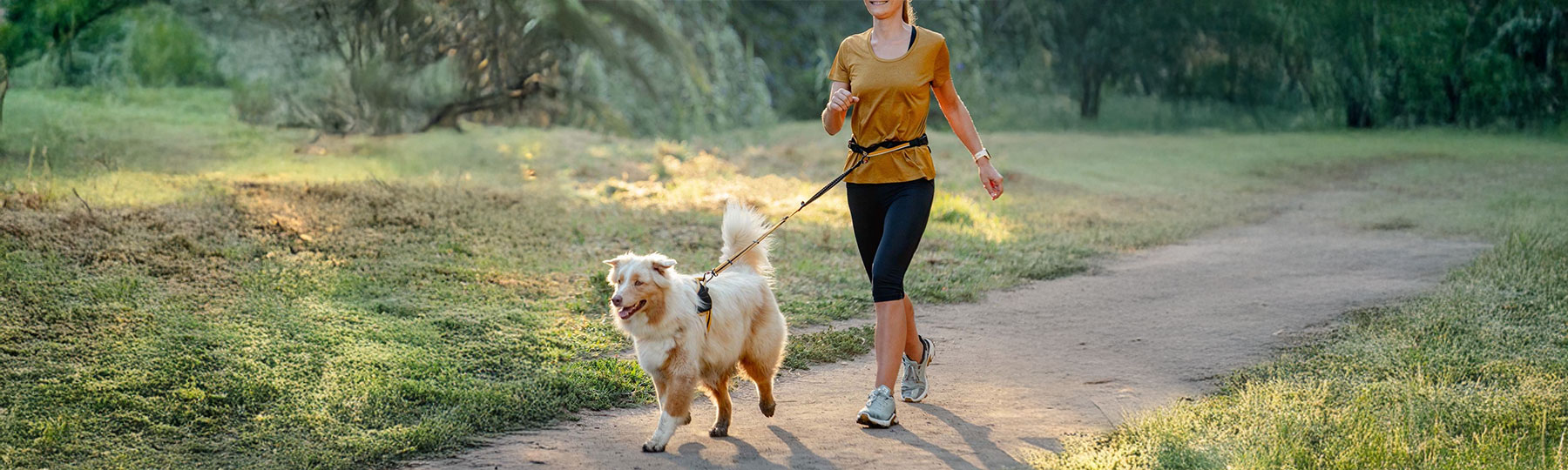 Midjeb&auml;lte till Hund&auml;gare