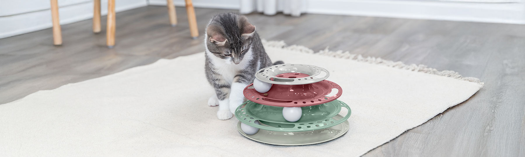 Aktivitetsleksak till Katt