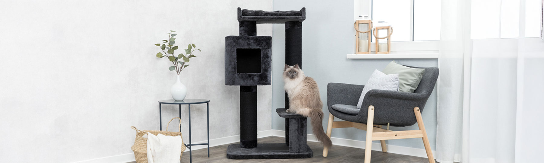 Klösträd till Katt Klösträd till Katt