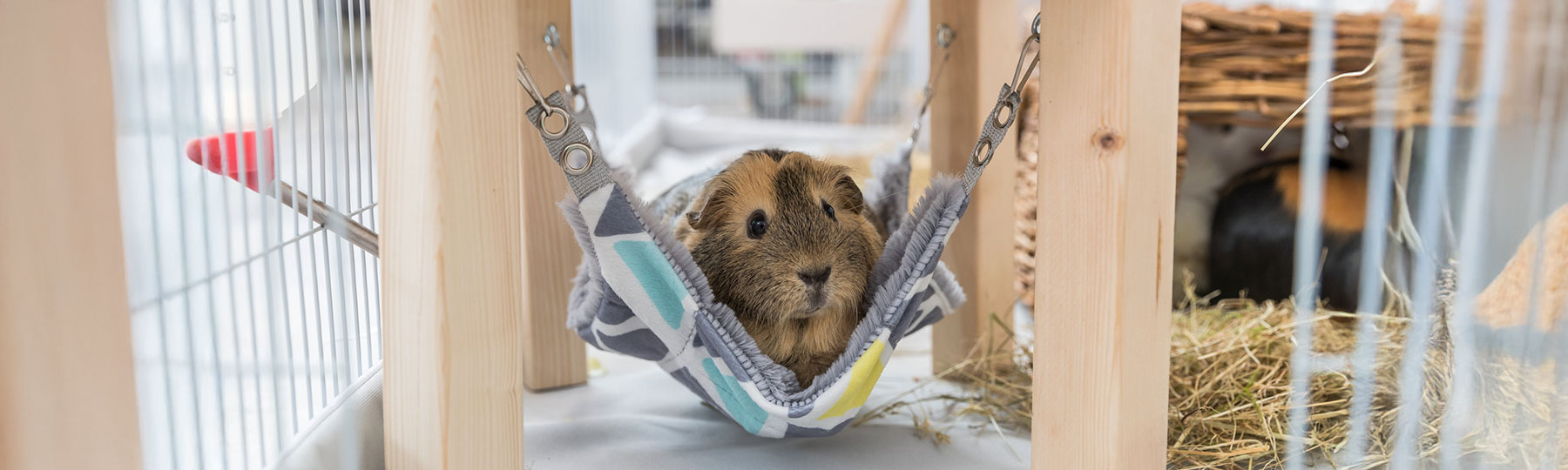 H&auml;ngmatta till sm&aring;djur