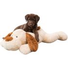 Hund Soft Benny 75 cm