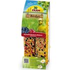 Birdys Blåbär/Hallon