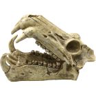 Akvariedekoration Kranium 20cm