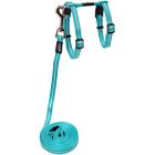 AlleyCat Sele Turkos