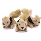Squirrel 3-pack
