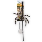 AFP Kattvippa Spider Web