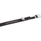 Katthalsband Monte Carlo Svart