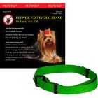 Petwise Fästinghalsband Hund