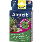 Algizit 10 tabletter