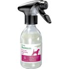 Allergenius Specialbalsam Spray