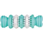 DENTAfun Tuggrulle Mint