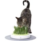 Senses Grass Garden Kit