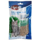 Kattgräs Refill