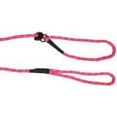 Retriever Rosa