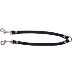 Parkoppel för promenad med två hundar