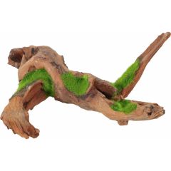 Zolux. Kipouss Malaysia Root Seeds. Läcker akvarierot som innehåller levande växtfrön.