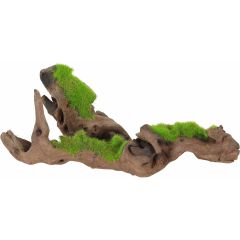 Zolux. Kipouss Malaysia Root Seeds S. Läcker akvarierot som innehåller levande växtfrön.