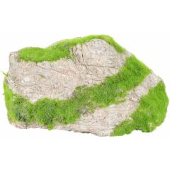 Zolux. Kipouss Grey Stone Seeds S. Läcker akvariesten som innehåller levande växtfrön.