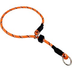 Alac. Alac Dressyrstryp Reflex Orange. Dressyrhalsband i helstrypsmodell.