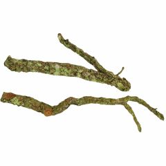 Aquadeko. Klättergrenar Korkek. Naturliga klättergrenar av korkek. 