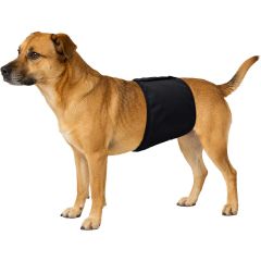Flamingo. Kisskydd Hanhund. Kisskydd för hanhund med perfekt passform.