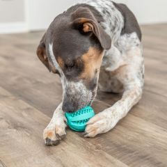 DENTAfun Boll Mint
